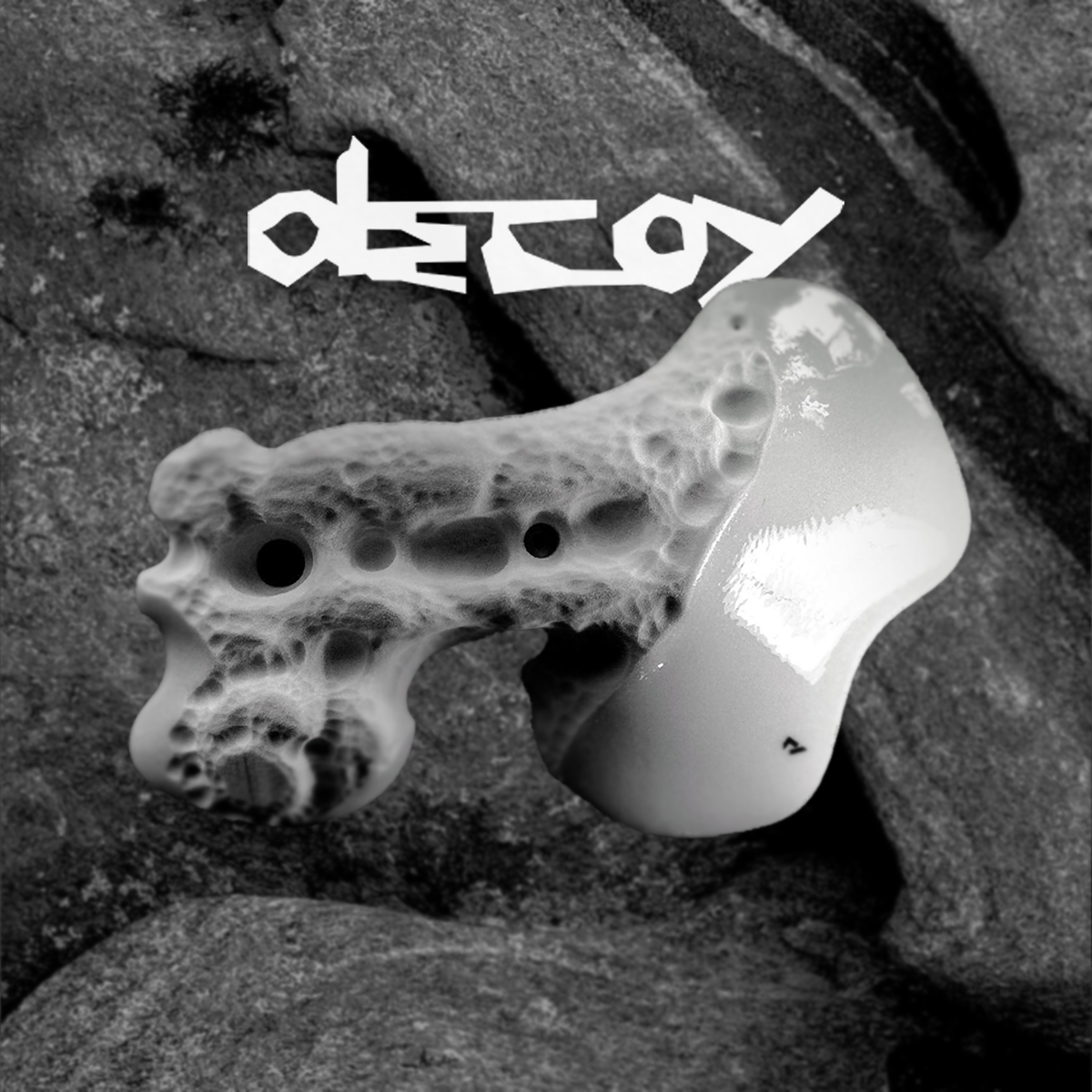Decoy